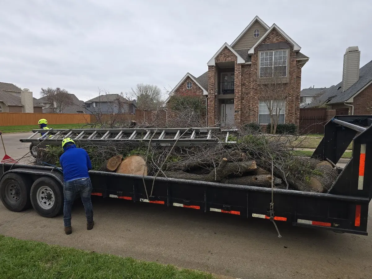 Expert Tree Removal with proper safety equipment in Hazelton